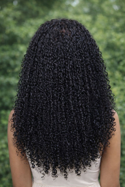 Cambodian Kinky Curly Wig | Swiss HD Lace, 180% to 250% Density